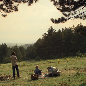 Bilder Among The Living