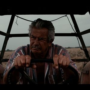 Bilder Tierra En la Lengua