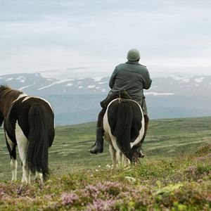 Bilder Von Menschen und Pferden