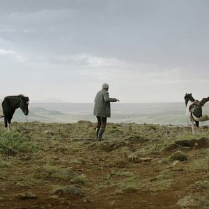 Bilder Von Menschen und Pferden