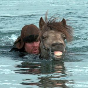 Bilder Von Menschen und Pferden