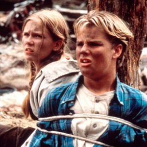 Bilder Absturz in der Wildnis