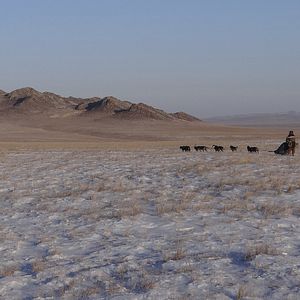 Bilder L'Odyssée Sauvage