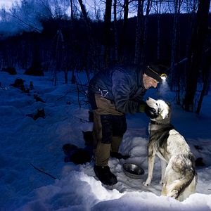 Bilder L'Odyssée Sauvage