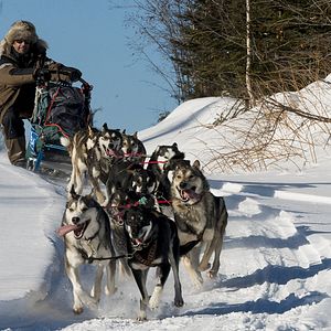 Bilder L'Odyssée Sauvage