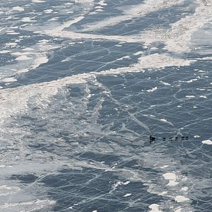 Bilder L'Odyssée Sauvage
