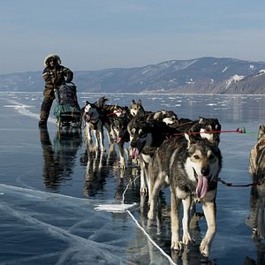 Bilder L'Odyssée Sauvage