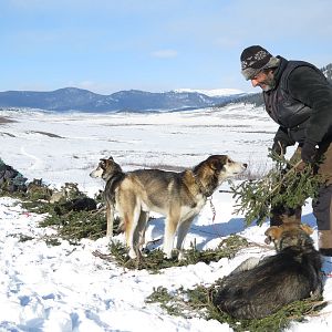 Bilder L'Odyssée Sauvage