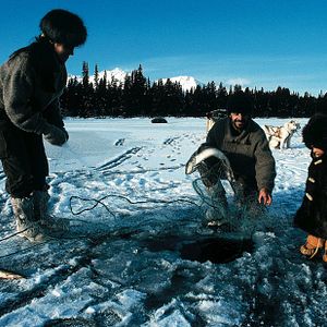 Bilder L'Odyssée Sauvage