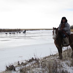 Bilder L'Odyssée Sauvage