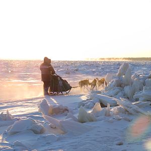 Bilder L'Odyssée Sauvage
