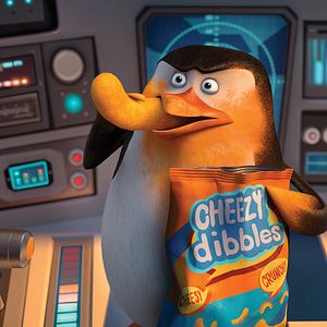 Bilder Die Pinguine aus Madagascar