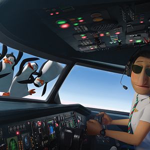 Bilder Die Pinguine aus Madagascar