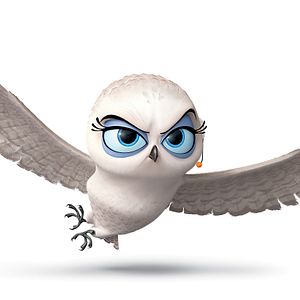 Bilder Die Pinguine aus Madagascar