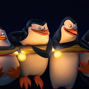 Bilder Die Pinguine aus Madagascar