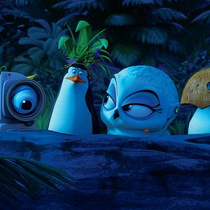 Bilder Die Pinguine aus Madagascar