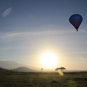 Bilder African Safari 3D