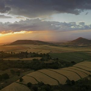 Bilder African Safari 3D