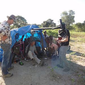 Bilder African Safari 3D