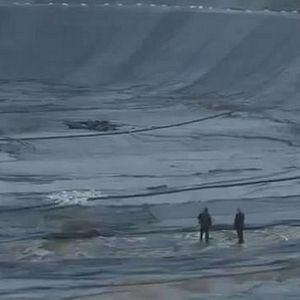 Bilder Müll im Garten Eden