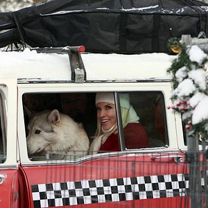 Bilder Jenny McCarthy