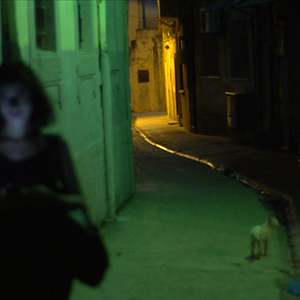 Bilder A Gay Girl In Damascus: The Amina Profile