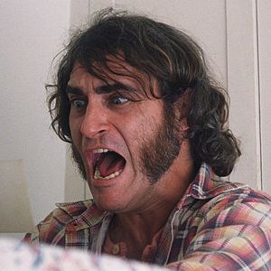 Bilder Inherent Vice - Natürliche Mängel