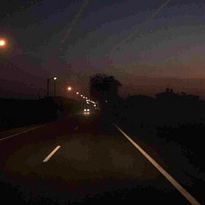 Bilder Campo de Flamingos Sem Flamingos