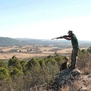 Bilder Campo de Flamingos Sem Flamingos