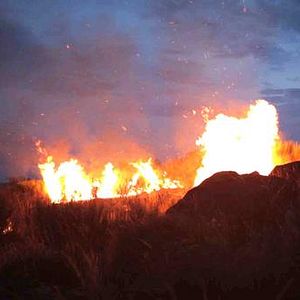 Bilder Campo de Flamingos Sem Flamingos