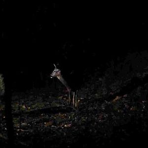 Bilder Campo de Flamingos Sem Flamingos