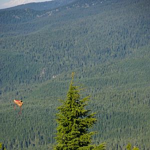 Bilder Reese Witherspoon