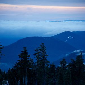 Bilder Der große Trip - Wild