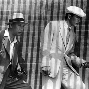 Bilder Ein herrenloser Hund