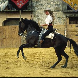 Bilder Electric Boogaloo