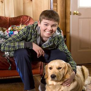 Bilder Ein Hund im Winter