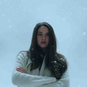 Bilder Wie ein weißer Vogel im Schneesturm