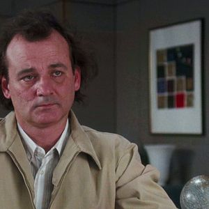 Bilder Was ist mit Bob?