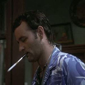 Bilder Blast - Wo die Büffel röhren