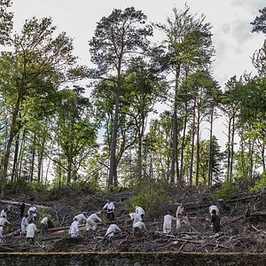 Bilder Anton Tchékhov 1890