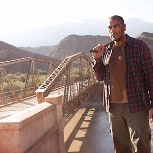 Bilder Wild Tales - Jeder dreht mal durch!