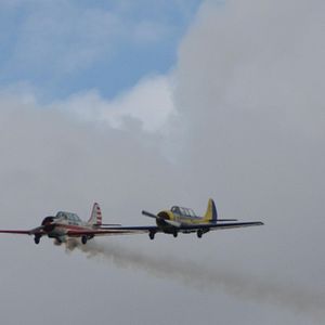 Bilder Sommer von Sangaile