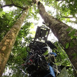 Bilder Afrika - Das magische Königreich