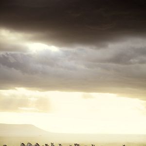 Bilder Afrika - Das magische Königreich