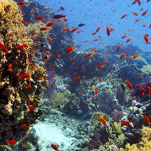 Bilder Afrika - Das magische Königreich