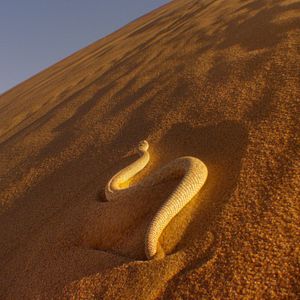 Bilder Afrika - Das magische Königreich