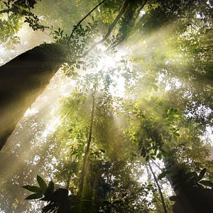 Bilder Afrika - Das magische Königreich