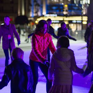 Bilder Die Pinguine aus Madagascar