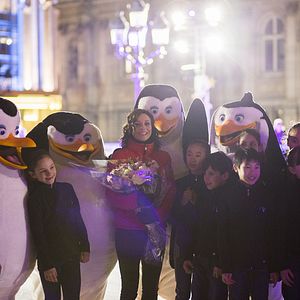 Bilder Die Pinguine aus Madagascar