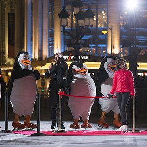 Bilder Die Pinguine aus Madagascar